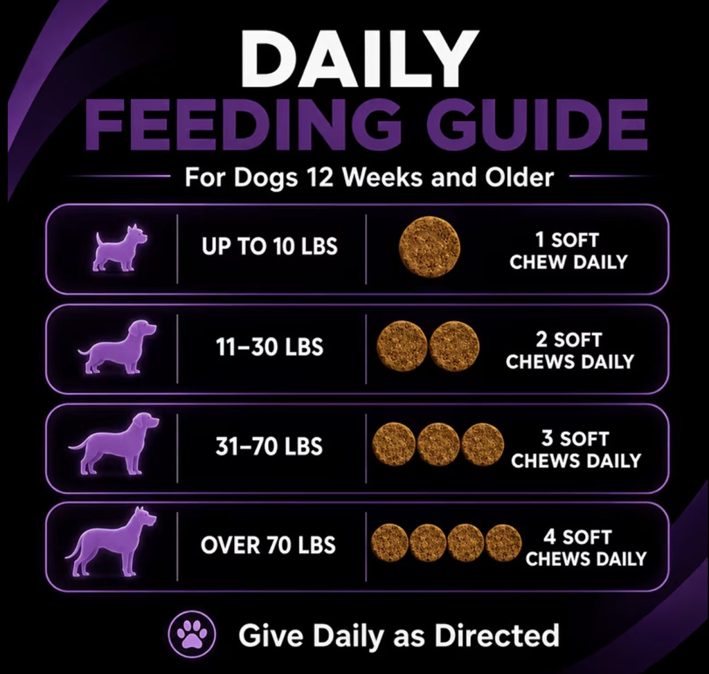 Pet Probiotics Meat Flavor, Coat And Intestinal Health, Sensitive And Defensive Wellness